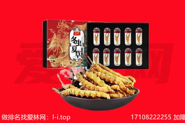锦州市回收虫草.jpg